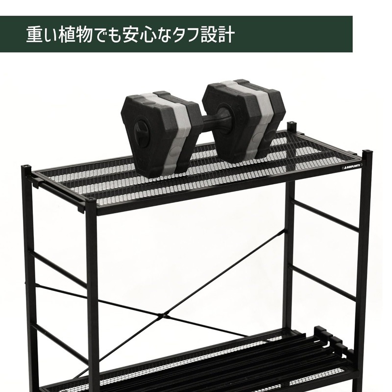 BIBIPLANTS(ビビプランツ) ジャングルラック キャビネット ガラス温室