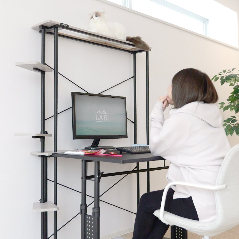 BIBILAB(�ӥӥ��) ����åȥ�� ǭ�����å� LCR-1000-GY �ǥ�����ǭ�ȶ�ˤʤ� �����֤� 150cm ���夬�����륯�ꥢê�� ����åȥ������� ��˥�����å� �ѥ������å� ����OK ����� �ʥ��ڡ��� ��������������ꡦ����󥻥��Բġ��̳�ƻ����Υ�������Բġ� -�᡼����ľ��-