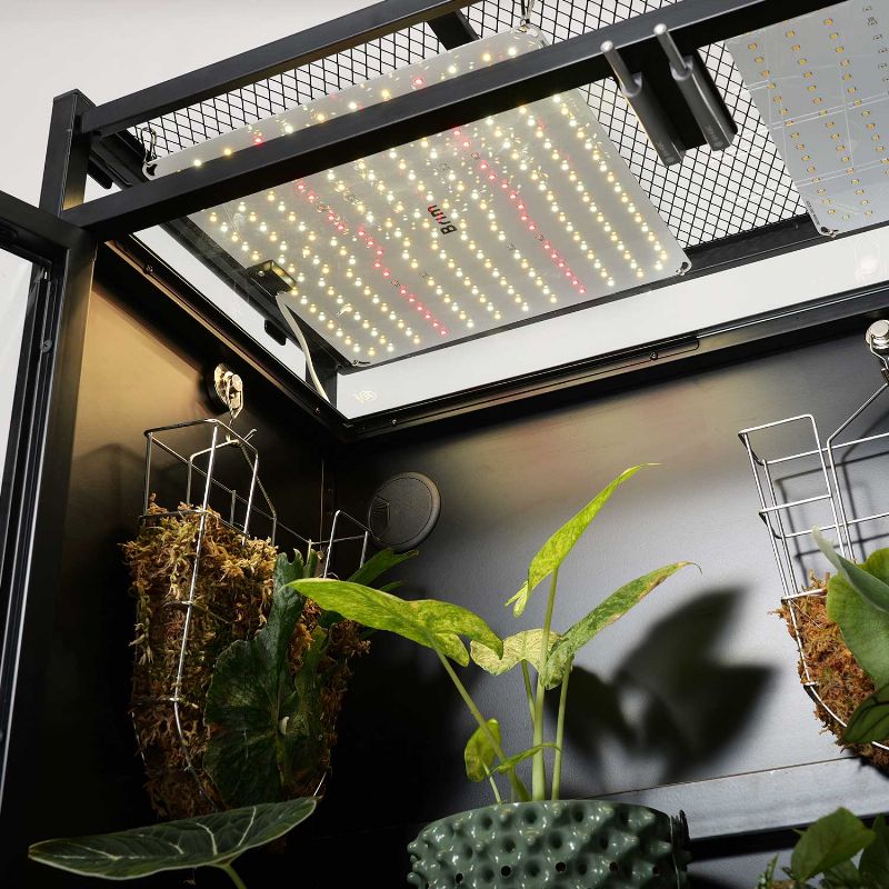 空中都市、ビュエルバ セット BIBILAB(ビビラボ) ビザールプランツラック キャビネット LPR-800G-BK