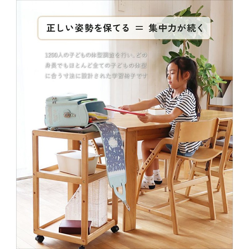 �Ծ� E-Toko Kids Chair -economy- �����˥󥰳ؽ������� ��Ω�� JUC-3661BR �֥饦�� ��������������ꡦ����󥻥��Բġ��̳�ƻ����Υ�������Բġ�-FK-