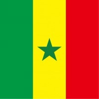 セネガル共和国柄ミニタオル