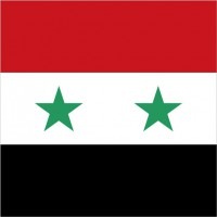 シリア・アラブ共和国柄ミニタオル