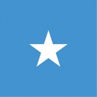 ソマリア連邦共和国柄ミニタオル