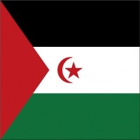 サハラアラブ民主共和国柄ミニタオル