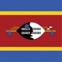 スワジランド王国柄ミニタオル