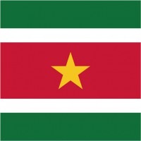 スリナム共和国柄ミニタオル