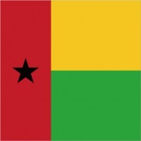 ギニアビサウ共和国柄ミニタオル