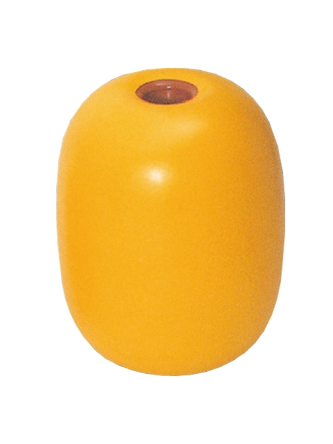 �ӥ˥��� G����ȯˢ�Υե����ȡʿ�������ҡ�