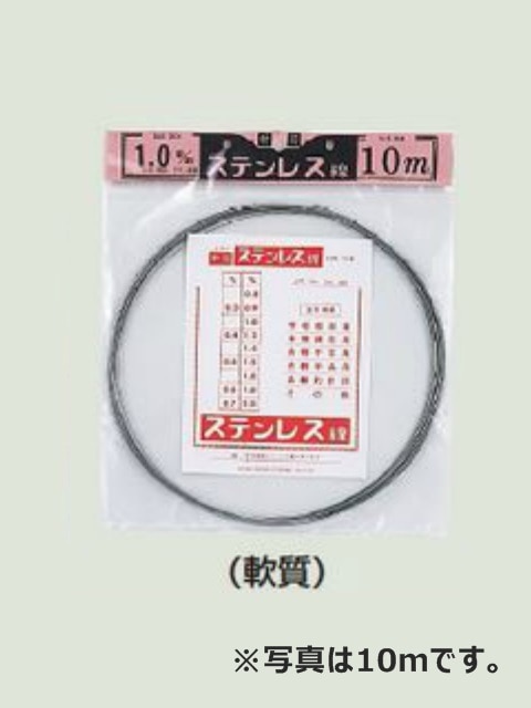 ������ƥ�쥹����100M����