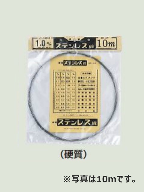 �ż����ƥ�쥹����100M����