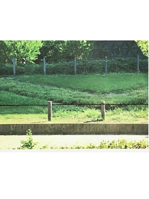 �����ʥ����ס���