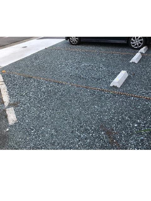 ��ɸ�������סʶ�����