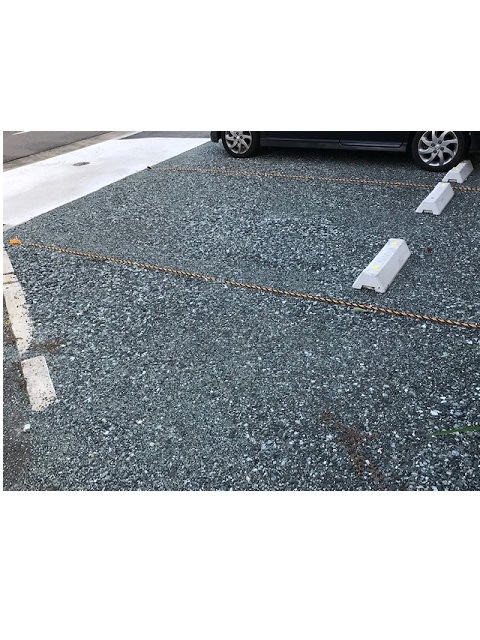 ȿ��ɸ�������ס�8�ǡ�