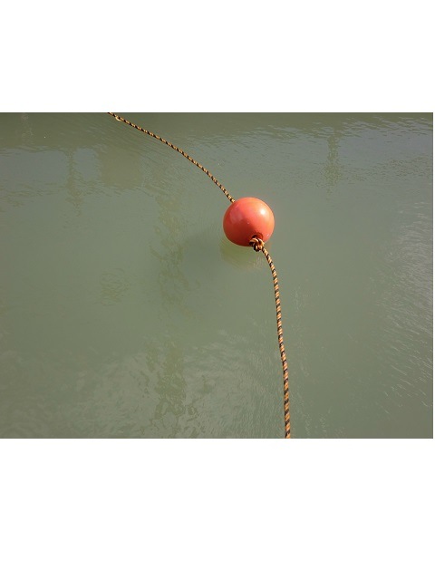 ȿ��ɸ�������ס�8�ǡ�