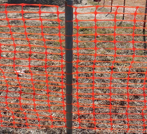 PEե󥹡ʥեƥե󥹡 /꡼