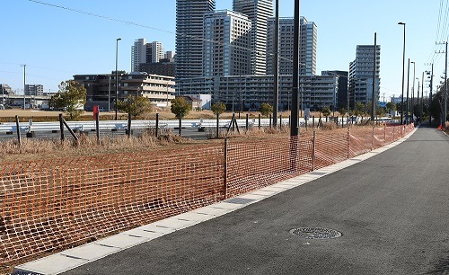 PEե󥹡ʥեƥե󥹡 /꡼