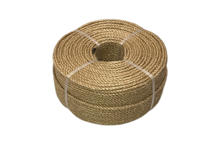 ������ס������������