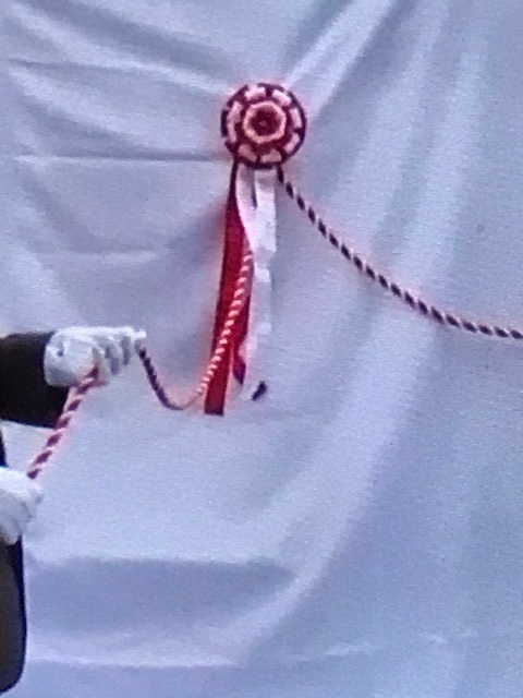 ���������������