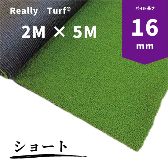 ꥢ꡼&#9415;͹ǥ硼ȡʥѥĹ16mm2m5m