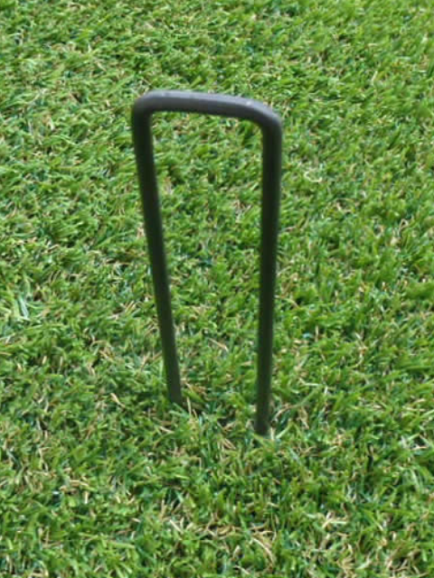 �ꥢ�꡼������🄬���ѥԥ�(���� 50������)