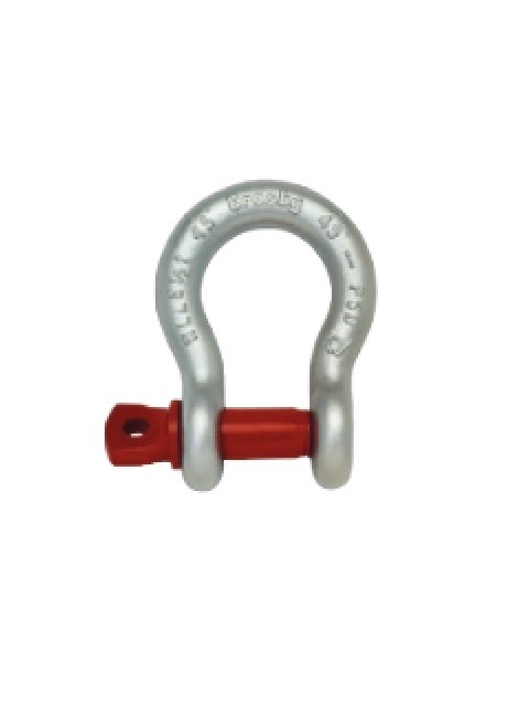 �������ӡ�/Crosby�����󥫡�����å��롡�ͤ���/�Х���