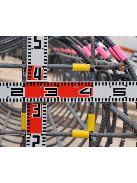 Ŵ���ѿ��̥ޡ���(��) 10������ 50mm