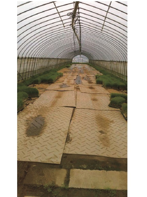 �������� Diban 4��X8�� ���� ������ ����������