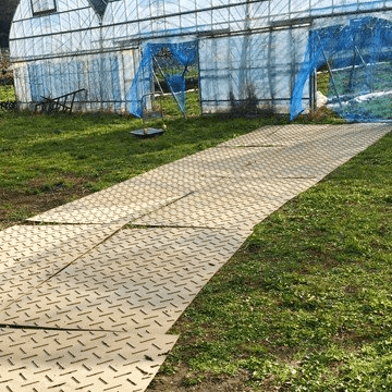 �������� Diban 4��X8�� ���� ������ ����������