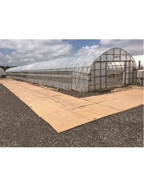 �������� Diban 3��X6�� ���� ������ ����������