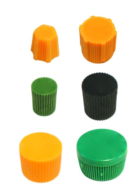 ����ѥ͵���ʥ����������