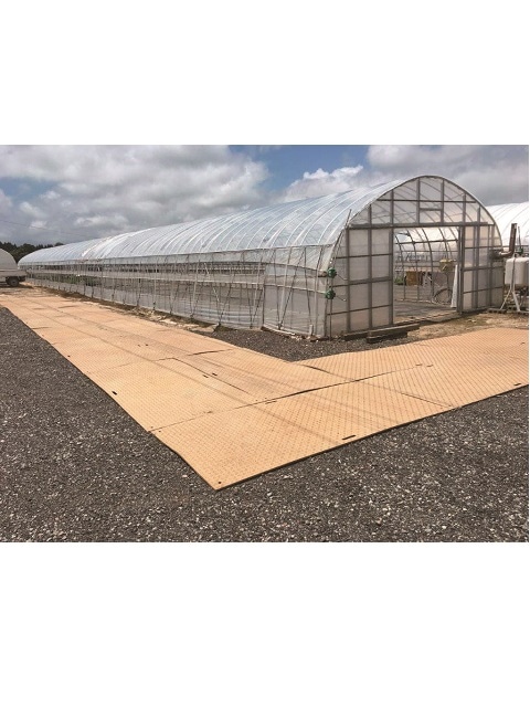 �������� Diban 3��X6�� ���� ������ ����������