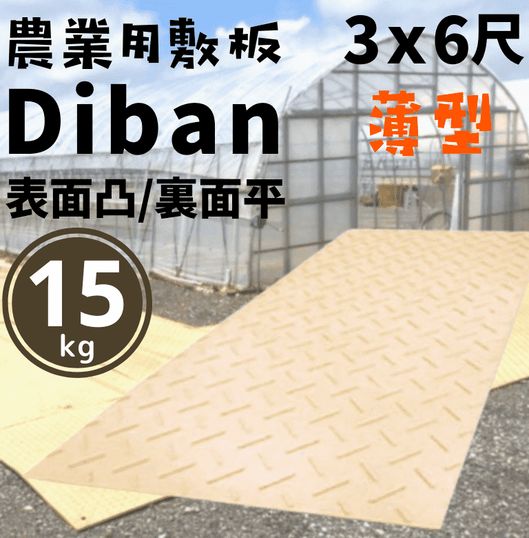 �������� Diban 3��X6�� ���� ������ ����������