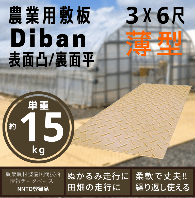 �������� Diban 3��X6�� ���� ������ ����������