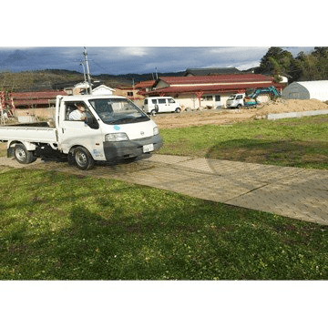 �������� Diban 3��X6�� ���� ������ ����������