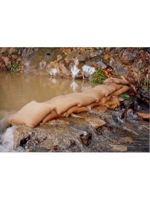 �������֥��å� �����ѵۿ����ڤΤ�(������ñ��)