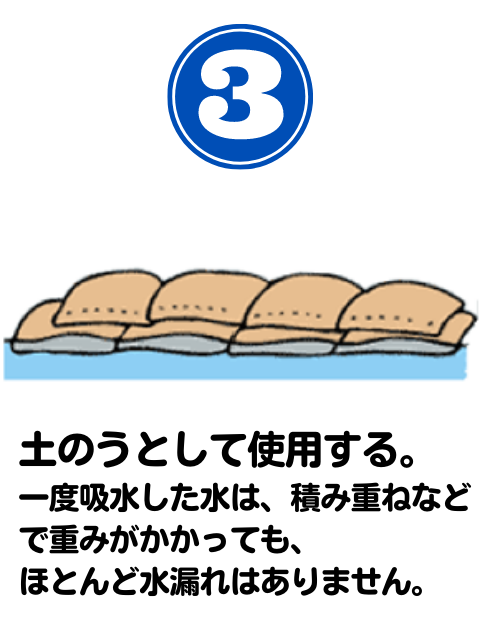 �������֥��å� �����ѵۿ����ڤΤ�(������ñ��)