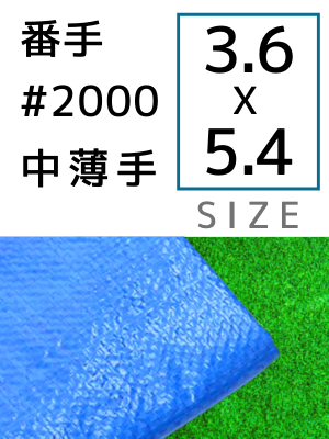 �֥롼������ �ּ�#2000(����) ������3.6��5.4m 10������