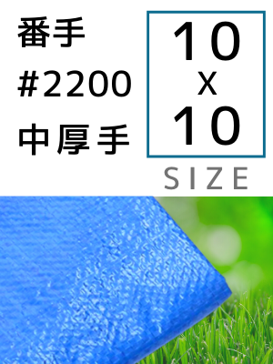 �֥롼������ �ּ�#2200(���) ������10��10m 2������