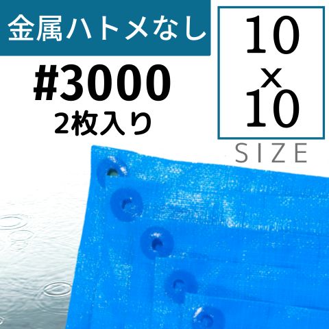 �ϥȥ�ʤ��֥롼������ �ּ�#3000(����) ������10��10m 2������