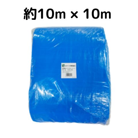 �ϥȥ�ʤ��֥롼������ �ּ�#3000(����) ������10��10m 2������