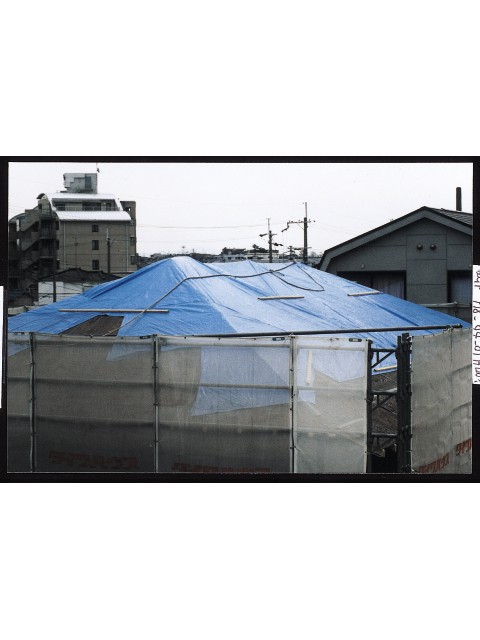 �ϥȥ�ʤ��֥롼������ �ּ�#3000(����) ������10��10m 2������