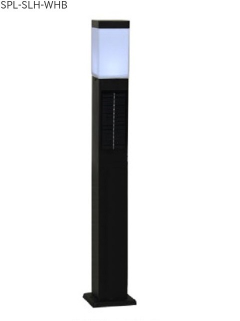 �����顼�ݡ���饤�� �����80cm������ �ڢ��᡼�����߸�̵���ʤ꼡�衢���֤Ȥʤ�ޤ���