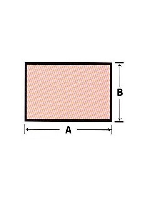 ȯˢ��������