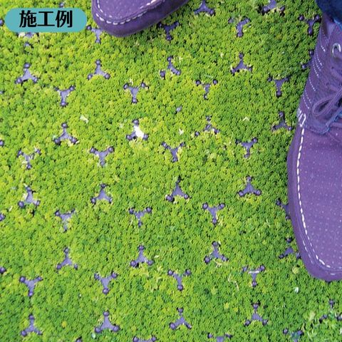 �����ݸ�ࡡ�����եѡ����󥰡�TP-2���ϡ���