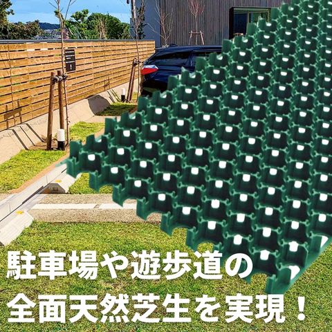 �����ݸ�ࡡ�����եѡ����󥰡�TP-2���ϡ��ա��ڤ�����10��ʾ奻�åȡ�