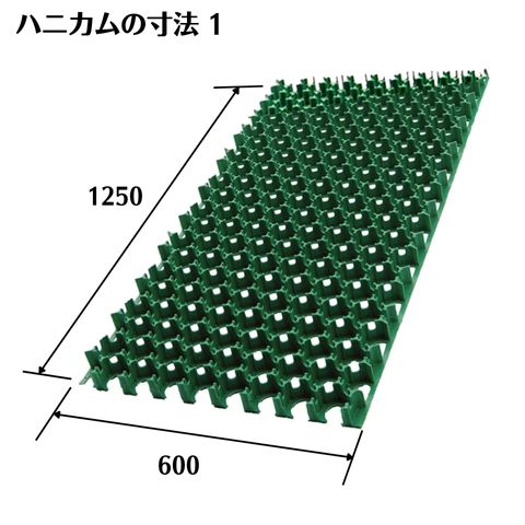 �����ݸ�ࡡ�����եѡ����󥰡�TP-2���ϡ��ա��ڤ�����10��ʾ奻�åȡ�