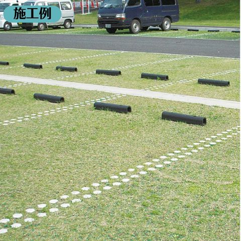 �����ݸ�ࡡ�����եѡ����󥰡�TP-2���ϡ��ա��ڤ�����10��ʾ奻�åȡ�