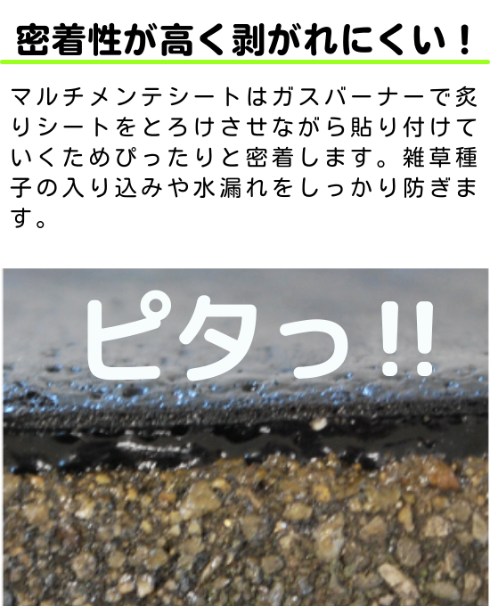 ޥƥ 150102.8ץ饤ޡաк/ϩ佤ü쥴ॷ