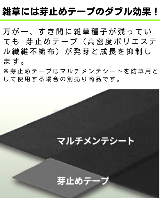 ޥƥ 150102.8ץ饤ޡաк/ϩ佤ü쥴ॷ