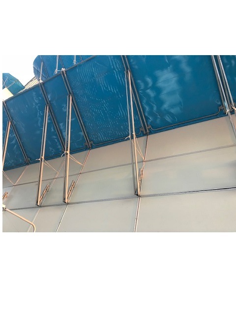 ������S�����ס��ʥܥӥ󴬡�